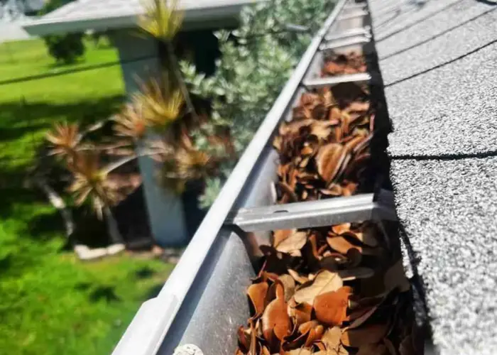 Warrior gutter cleaning home page